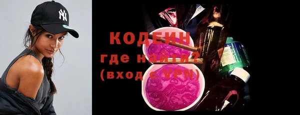 прущие грибы Переславль-Залесский