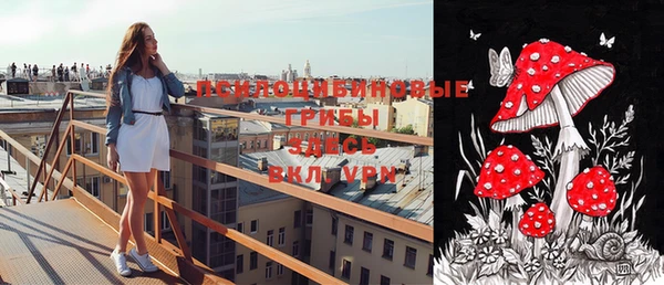 apvp Алексеевка
