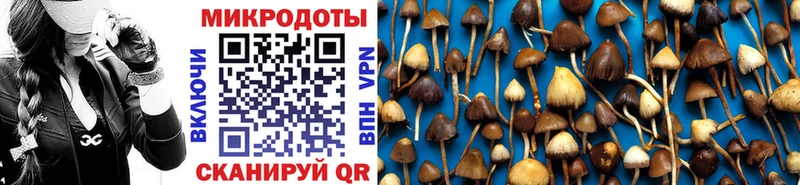 Псилоцибиновые грибы Magic Shrooms  Феодосия 