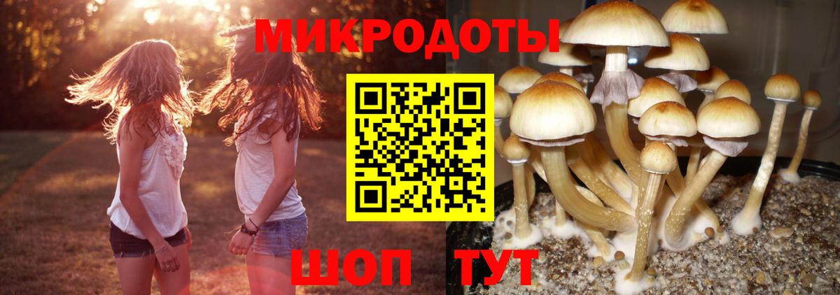 Псилоцибиновые грибы MAGIC MUSHROOMS  Вход с VPN  Феодосия 